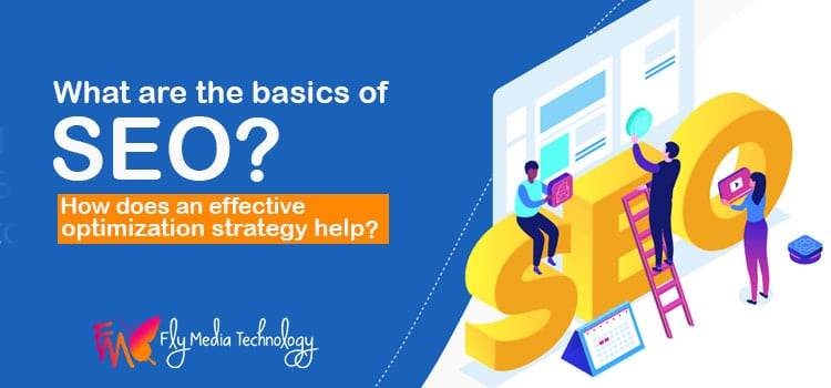 What are the basics of SEO? How does an effective optimization strategy help?